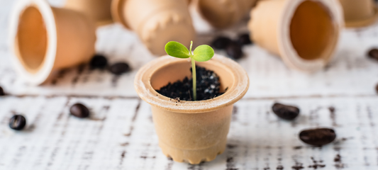 5 ways to help the environment as a coffee drinker