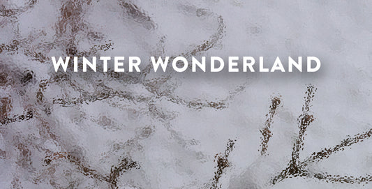 WINTER WONDERLAND