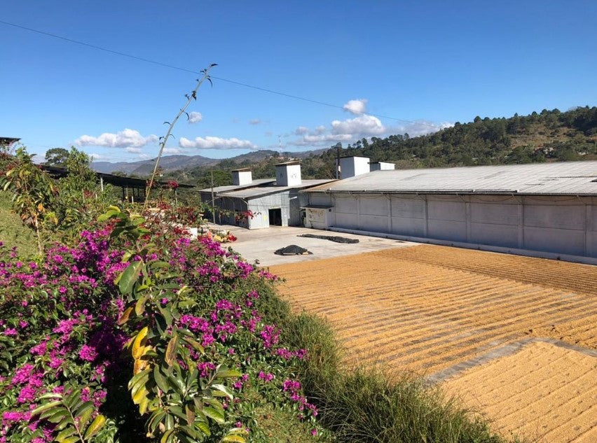 image of COMSA patios