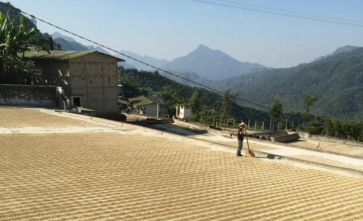 image of Huehuetenango drying patio