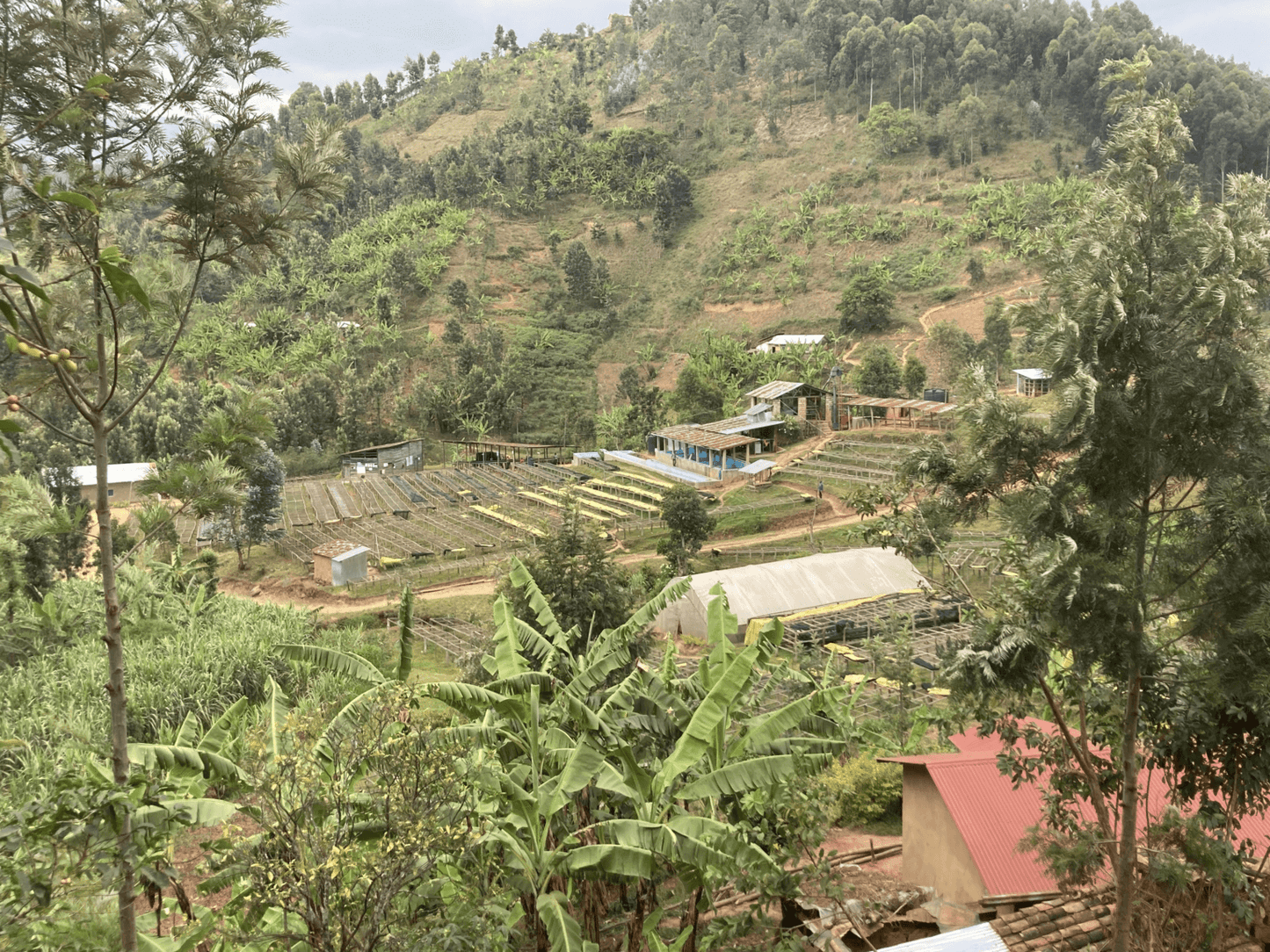 image of Kanzu washing station in Rwanda