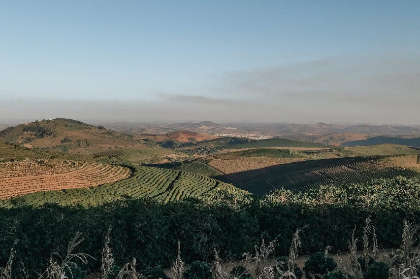 image of Legender farms