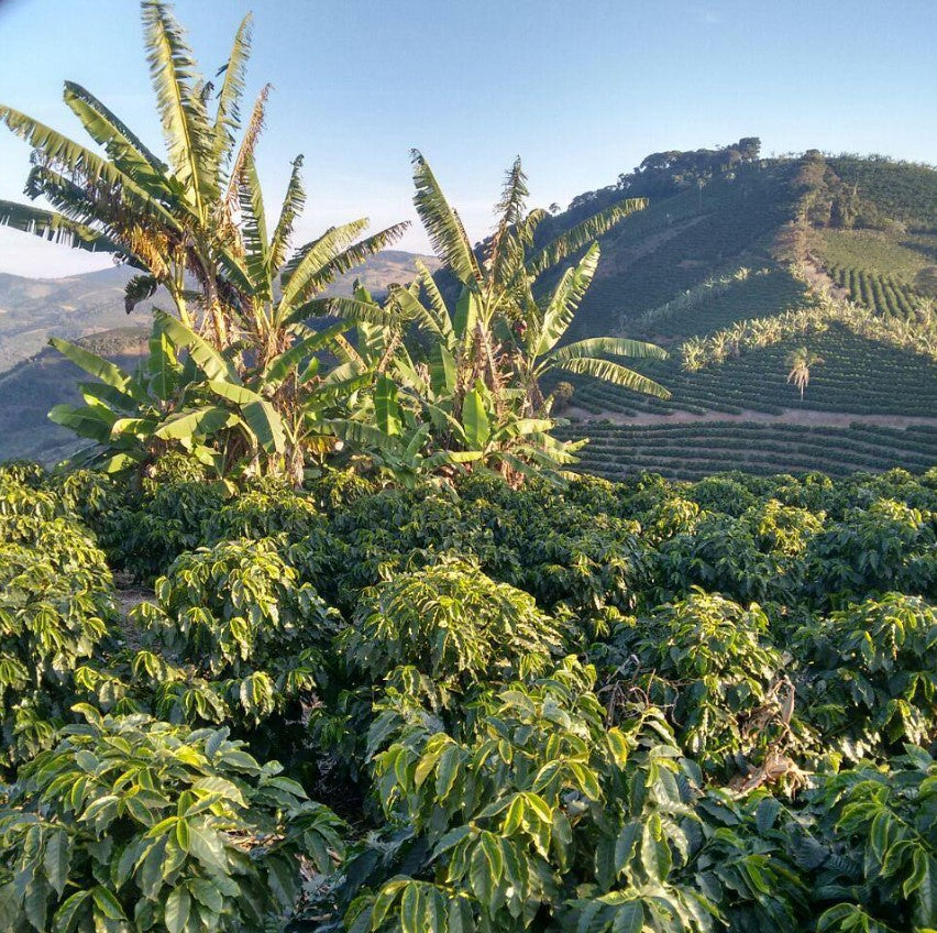 image of Legender farms