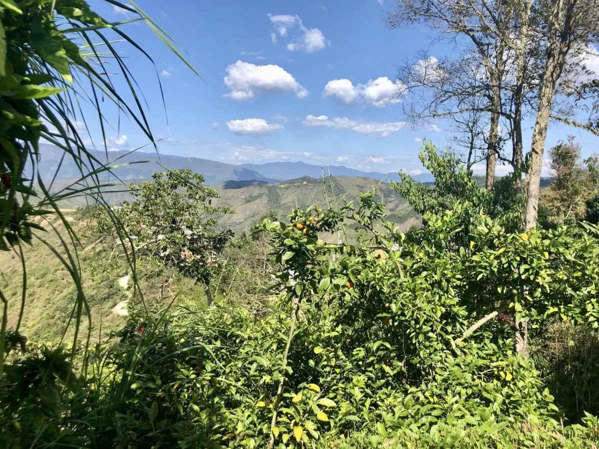 image of land around Las Damas