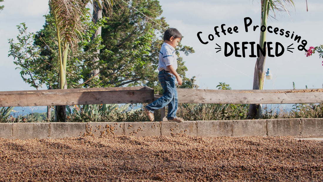 COFFEE PROCESSING DEFINED