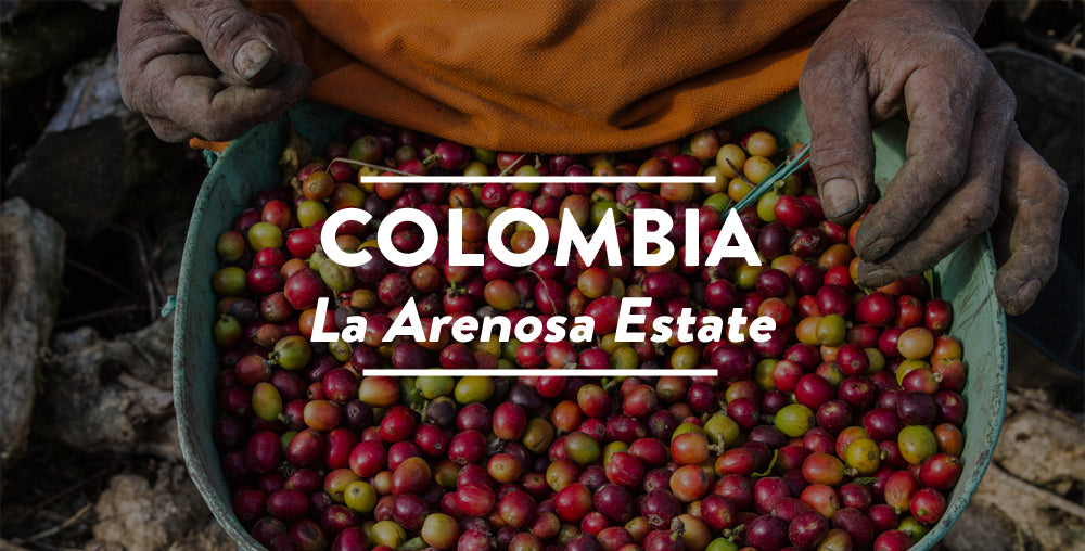 COLOMBIA LA ARENOSA ESTATE