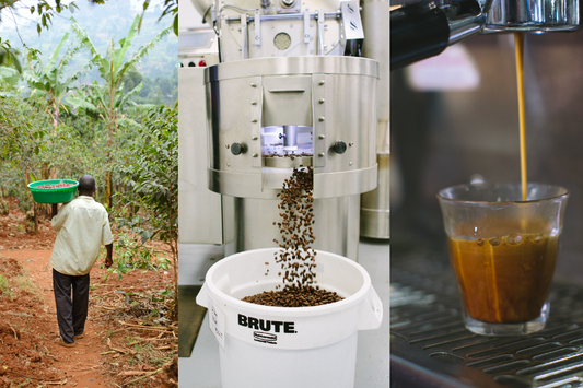 Full Circle: The Universal Language of Coffee