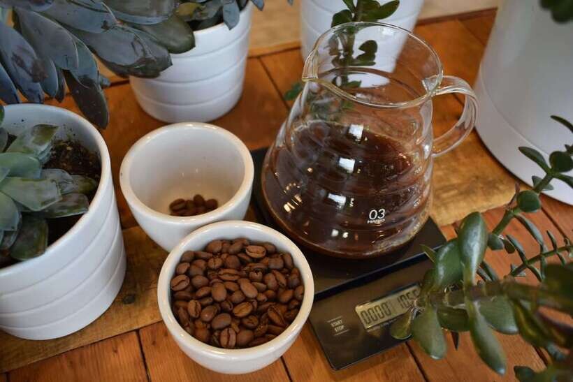 Coffee Brewing Ratios Explained