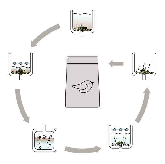 How Our Nightingale Coffee Is Decaffeinated
