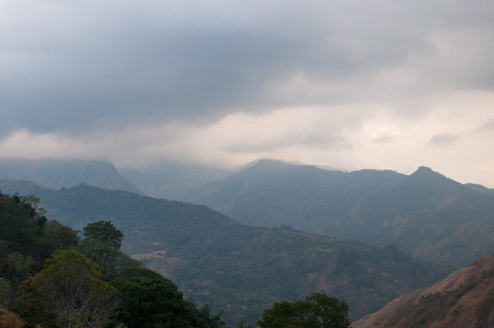 FIELD REPORT: COSTA RICA