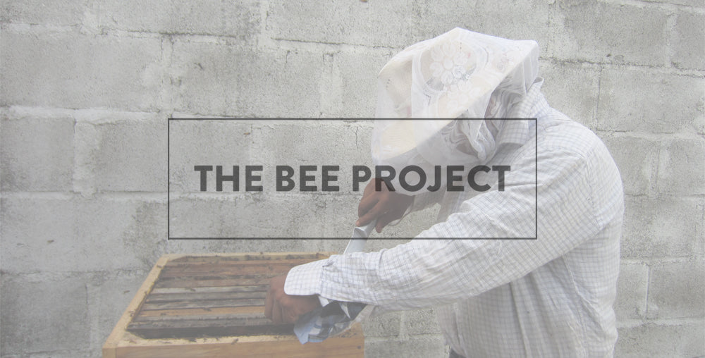 THE COMSA BEE PROJECT