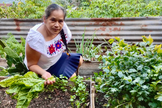 Growing More Than Coffee: Our Support for Food 4 Farmers