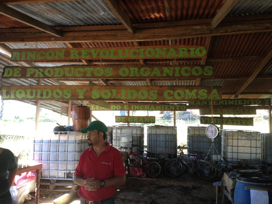 ORGANIC FARMING │HONDURAS PART 2