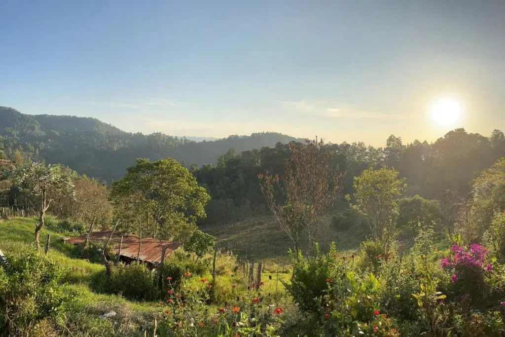 image of land around COMSA