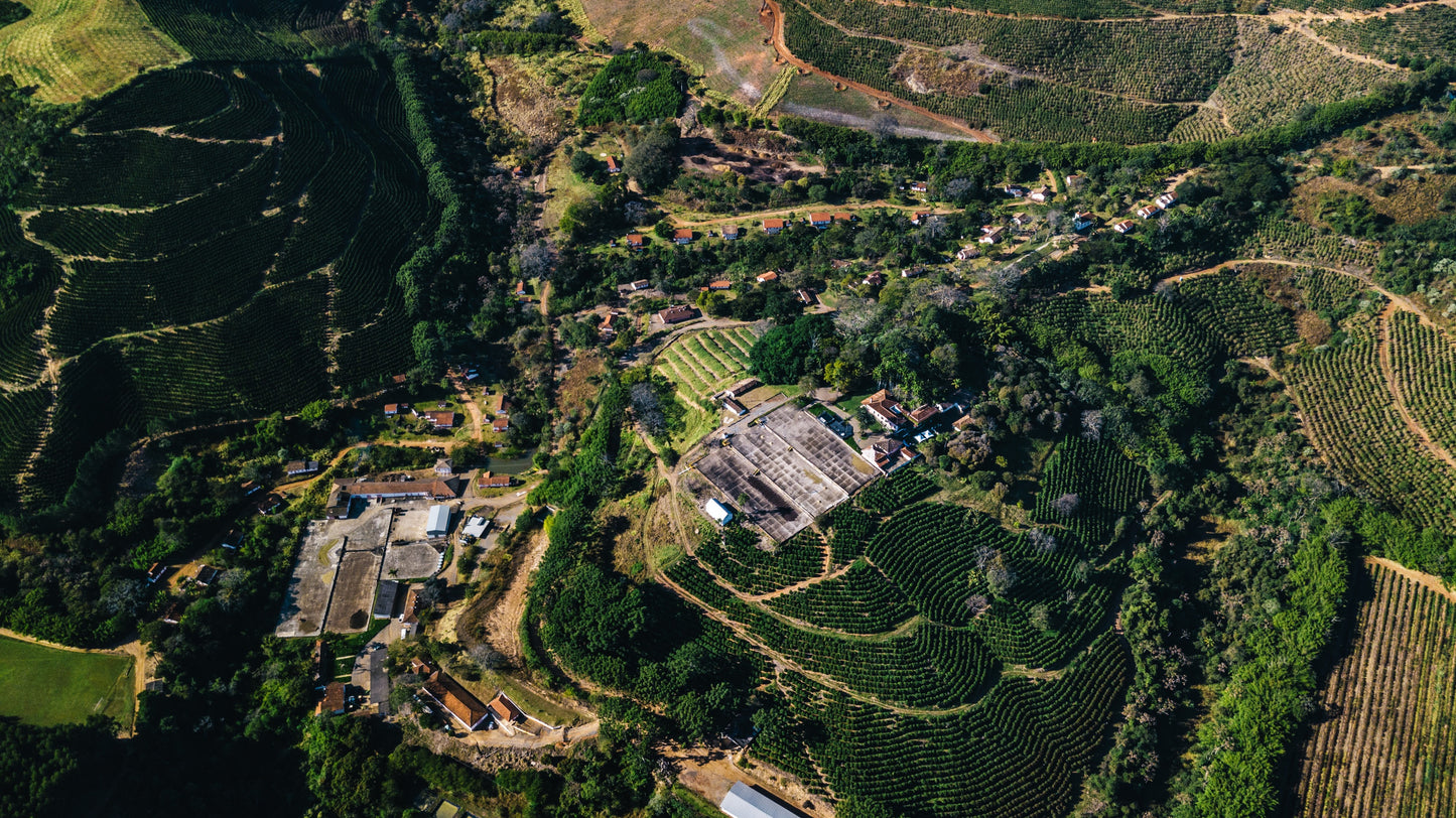 Image of aerial view of coffee farm.