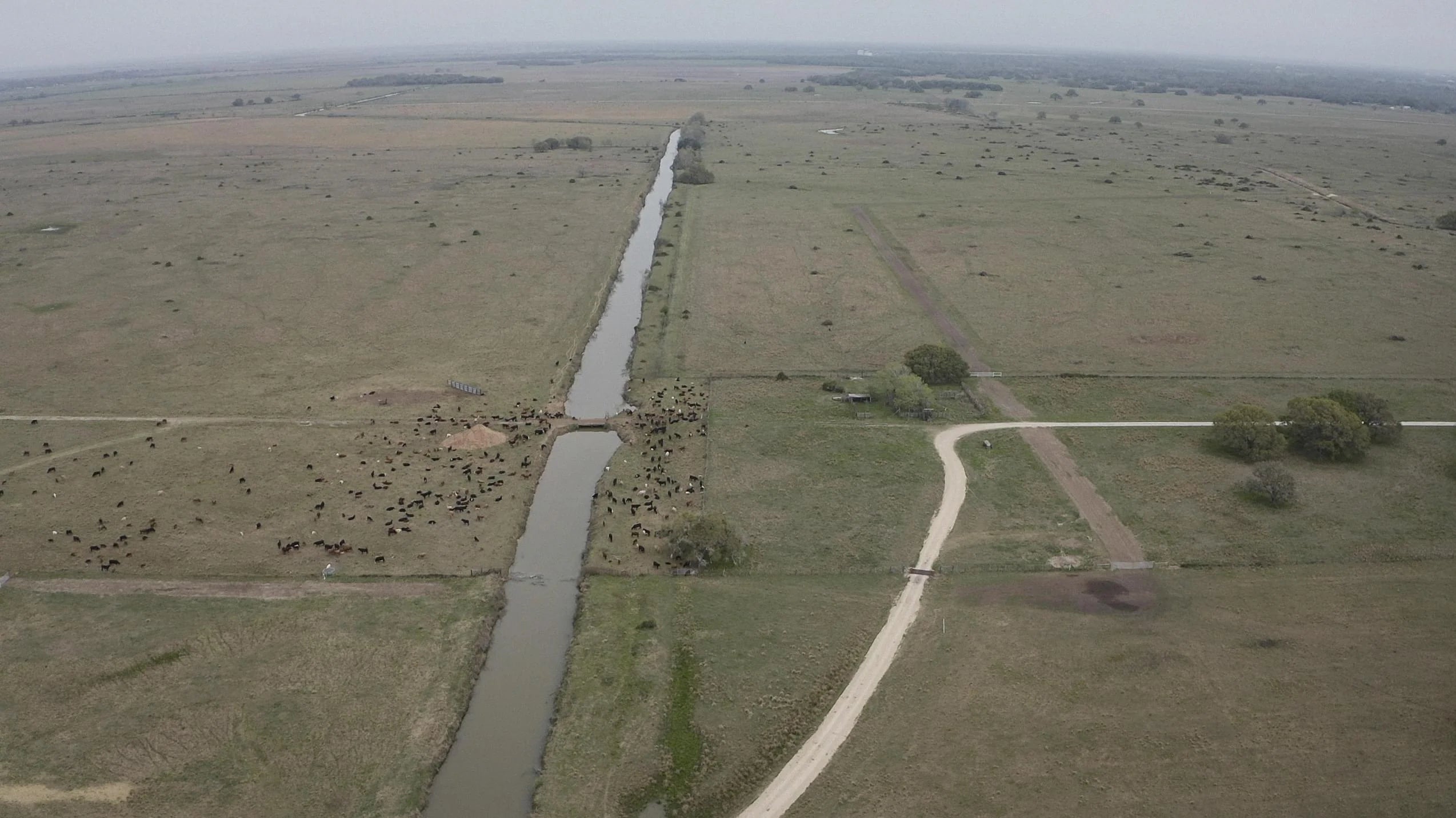 Load video: Video explaining how Grassroots Carbon connects companies looking to purchase carbon removal credits with certified landowners who are able to sell nature-based soil carbon storage.