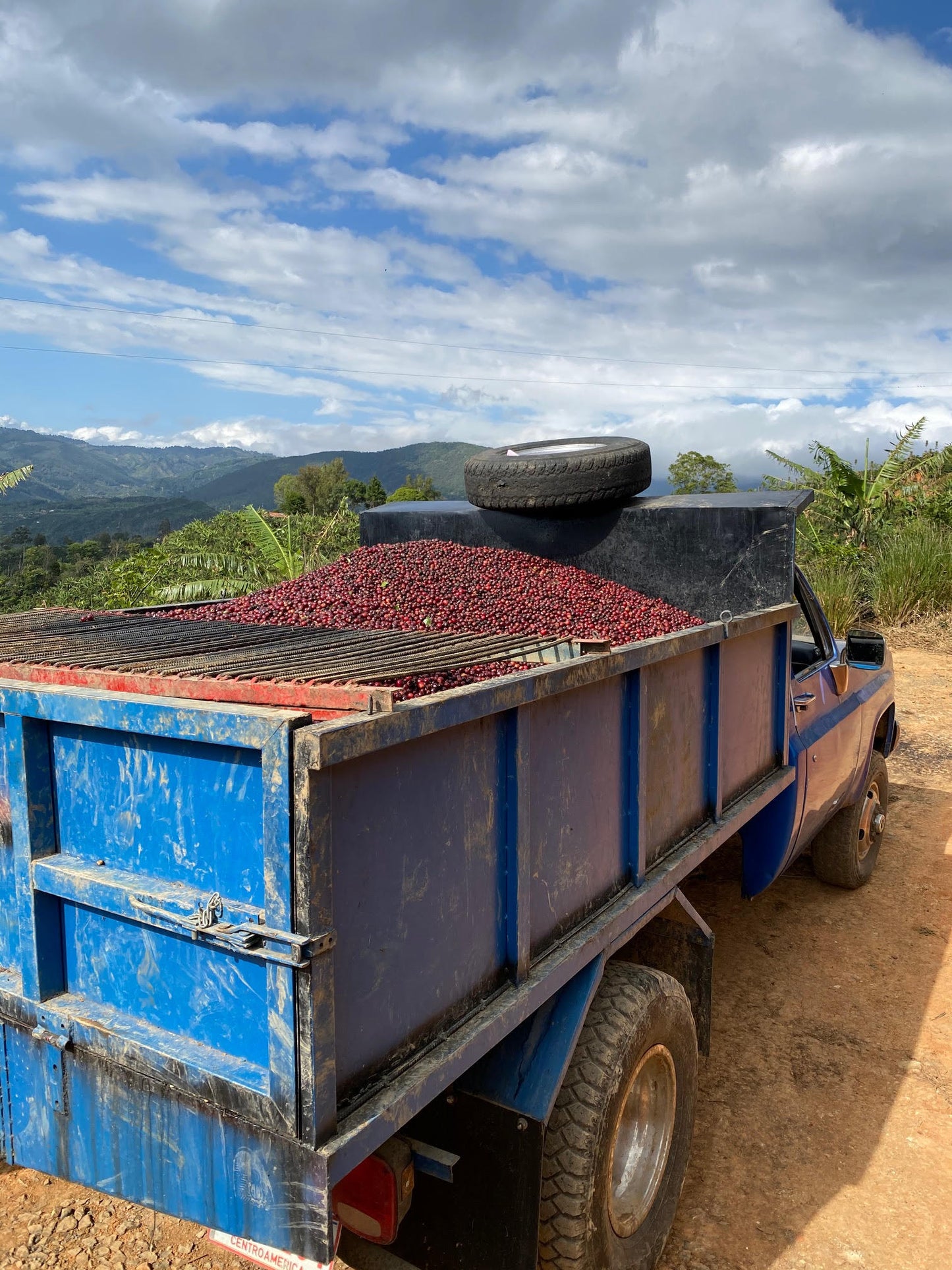 Cherry collection truck in Santa Maria de Dota
